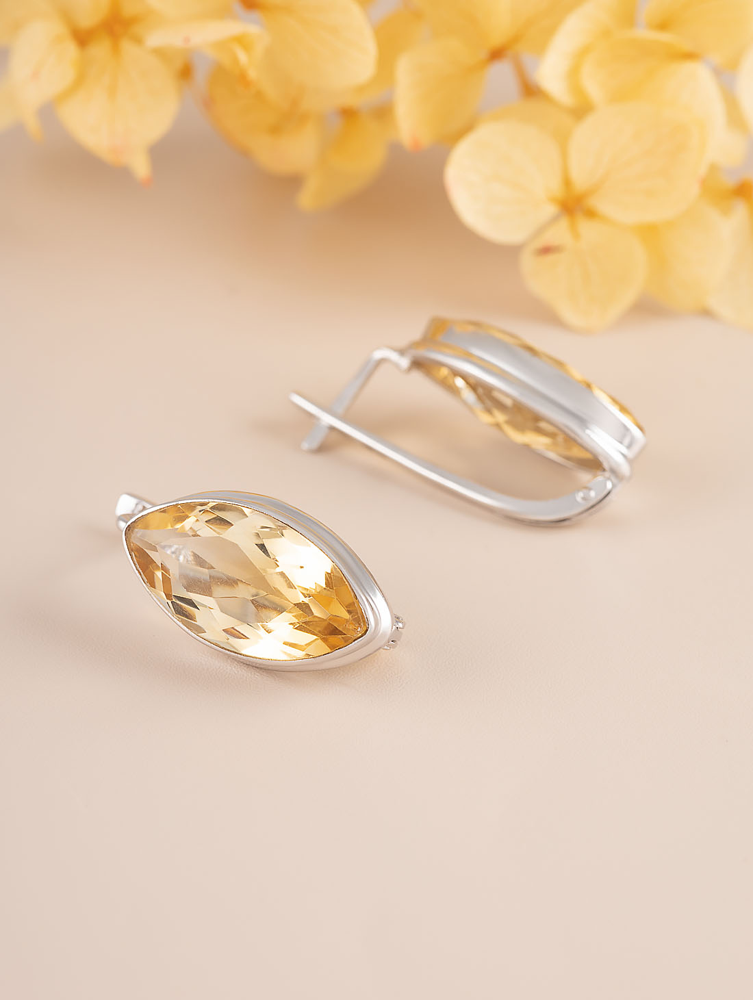 88232 Серьги (Ag 925)