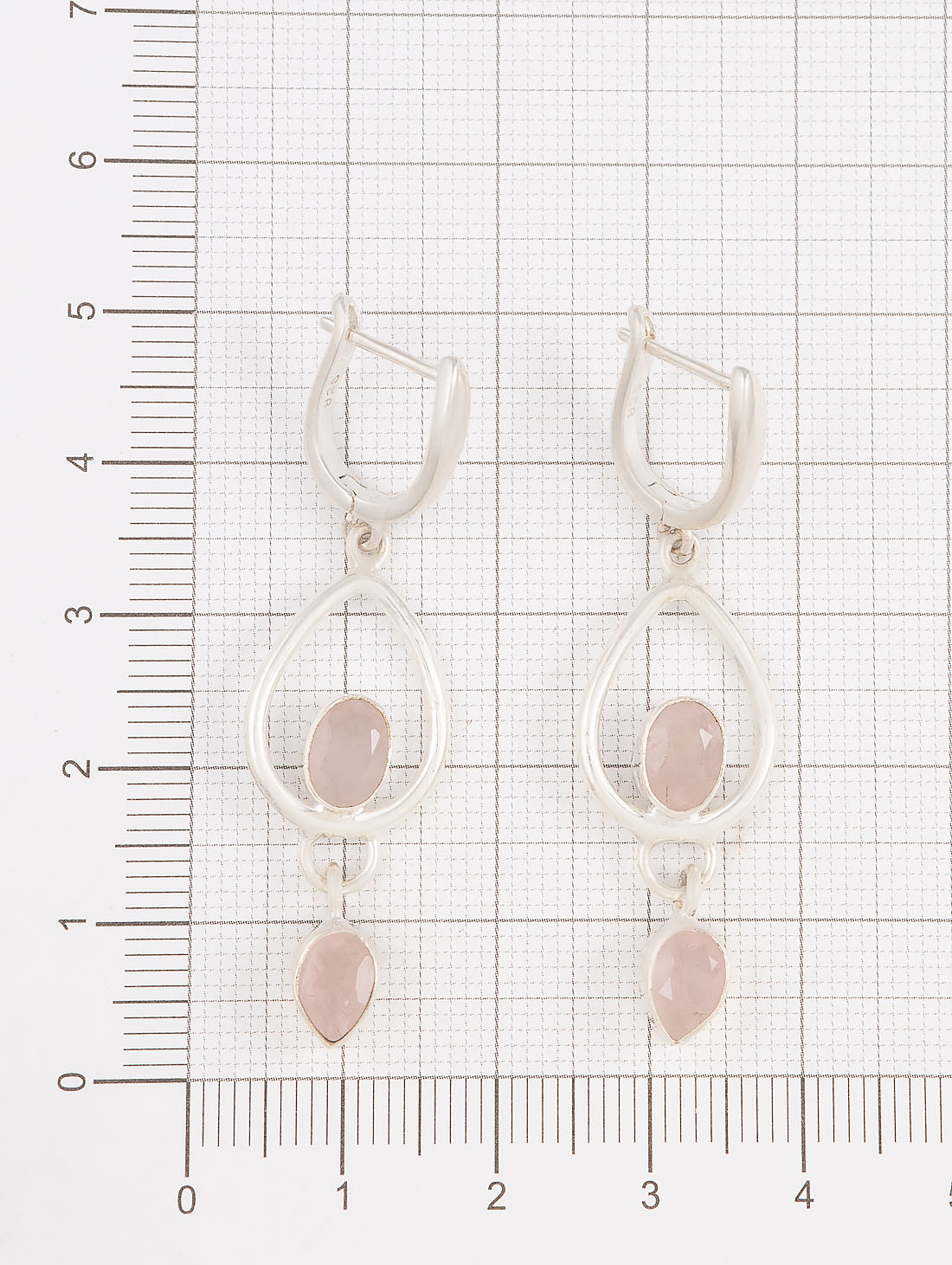 22013 Серьги (Ag 925)