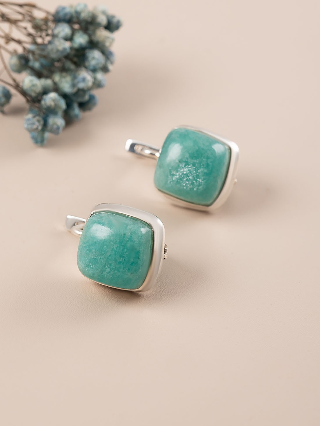 88610 Серьги (Ag 925)