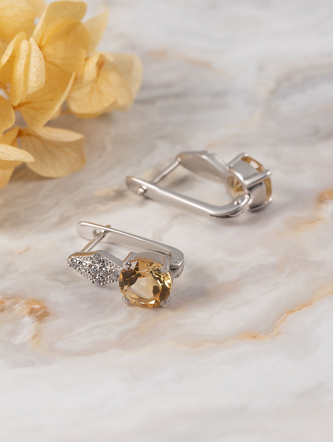 100791 Серьги (Ag 925)