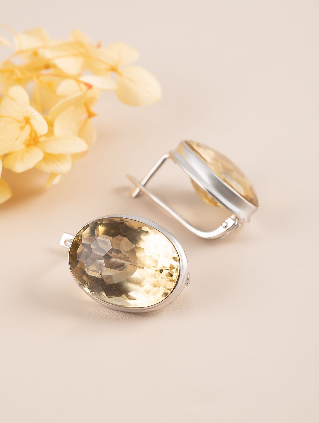 88717 Серьги (Ag 925)