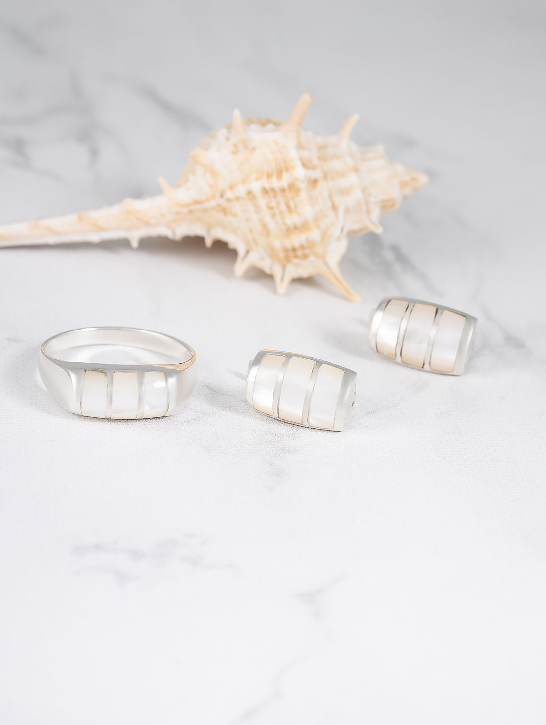 100933 Серьги (Ag 925)