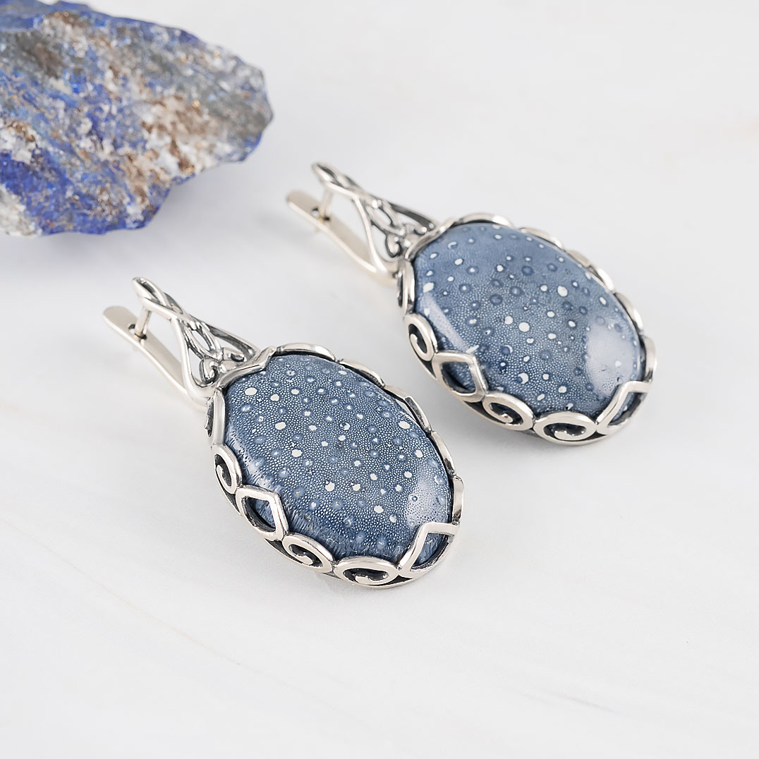 051047 Серьги (Ag 925)