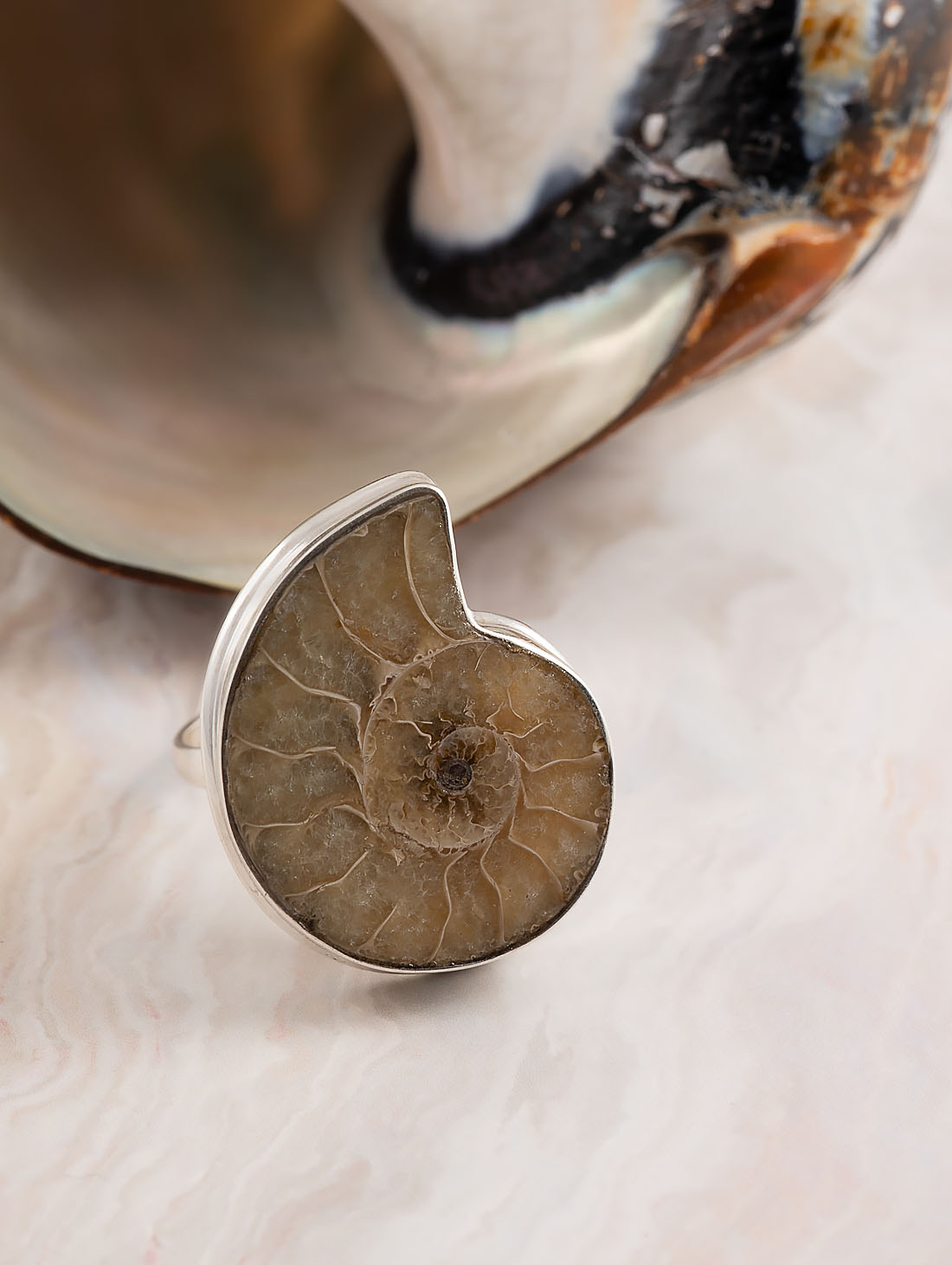 78510 Кольцо (Ag 925)