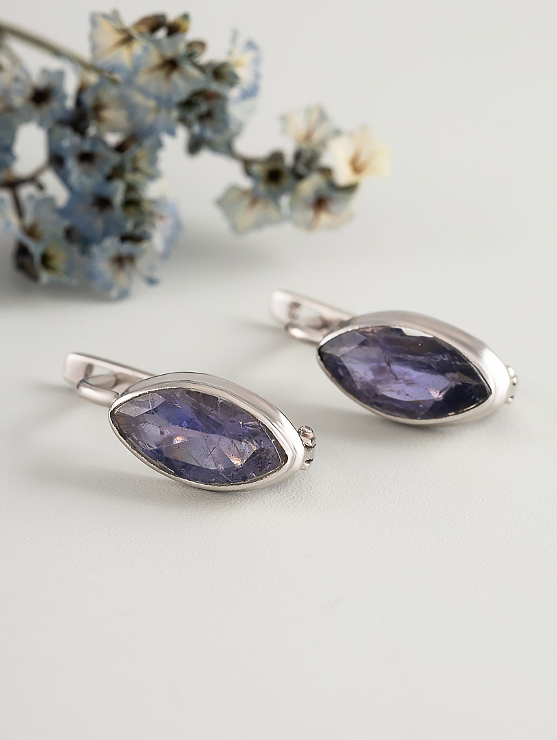 66934 Серьги (Ag 925)