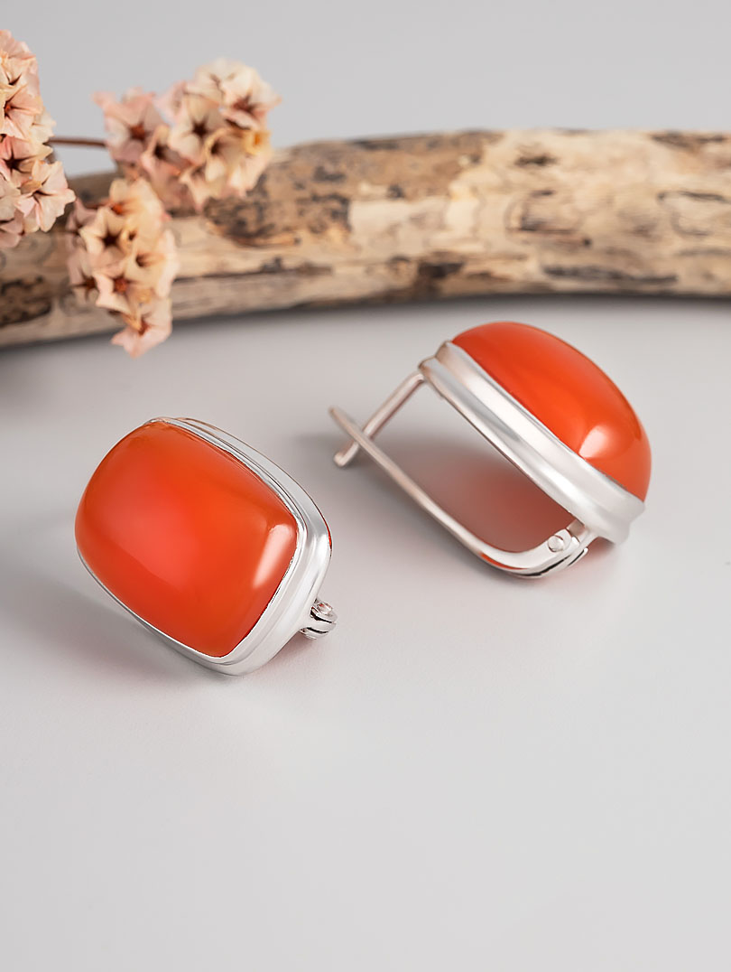 97202 Серьги (Ag 925)