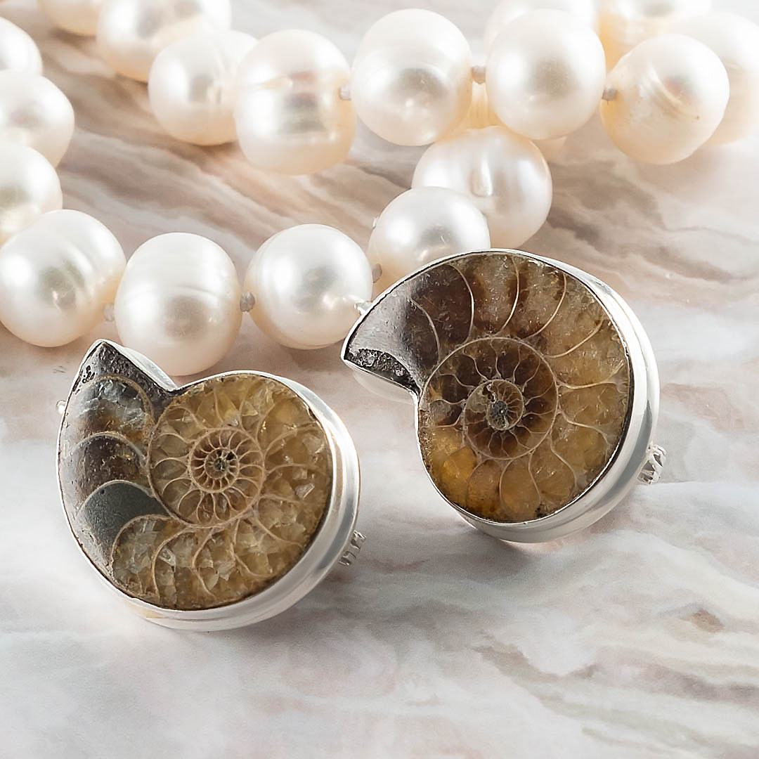 66570 Серьги (Ag 925)