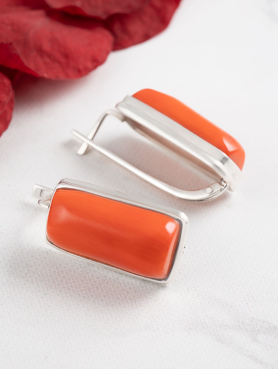 88373 Серьги (Ag 925)