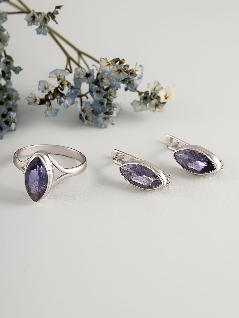 66934 Серьги (Ag 925)