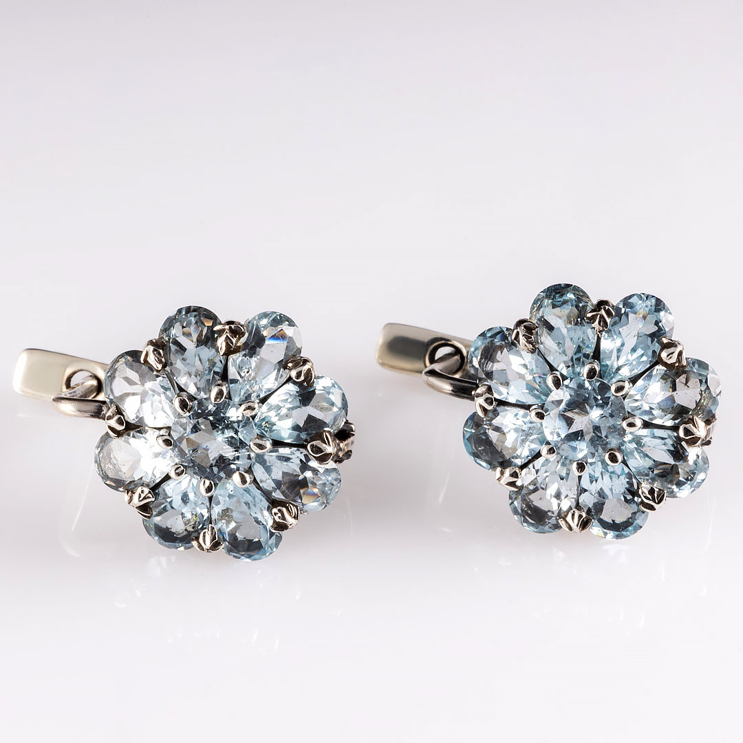 6684 Серьги (Ag 925)