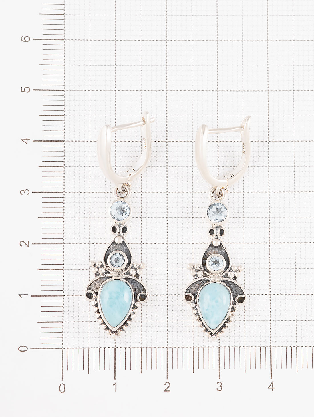 22100 Серьги (Ag 925)