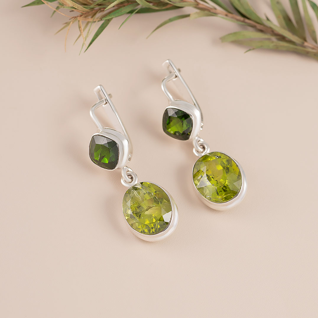 68169 Серьги (Ag 925)