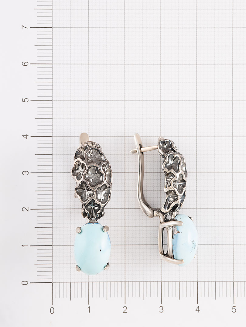 059180 Серьги (Ag 925)