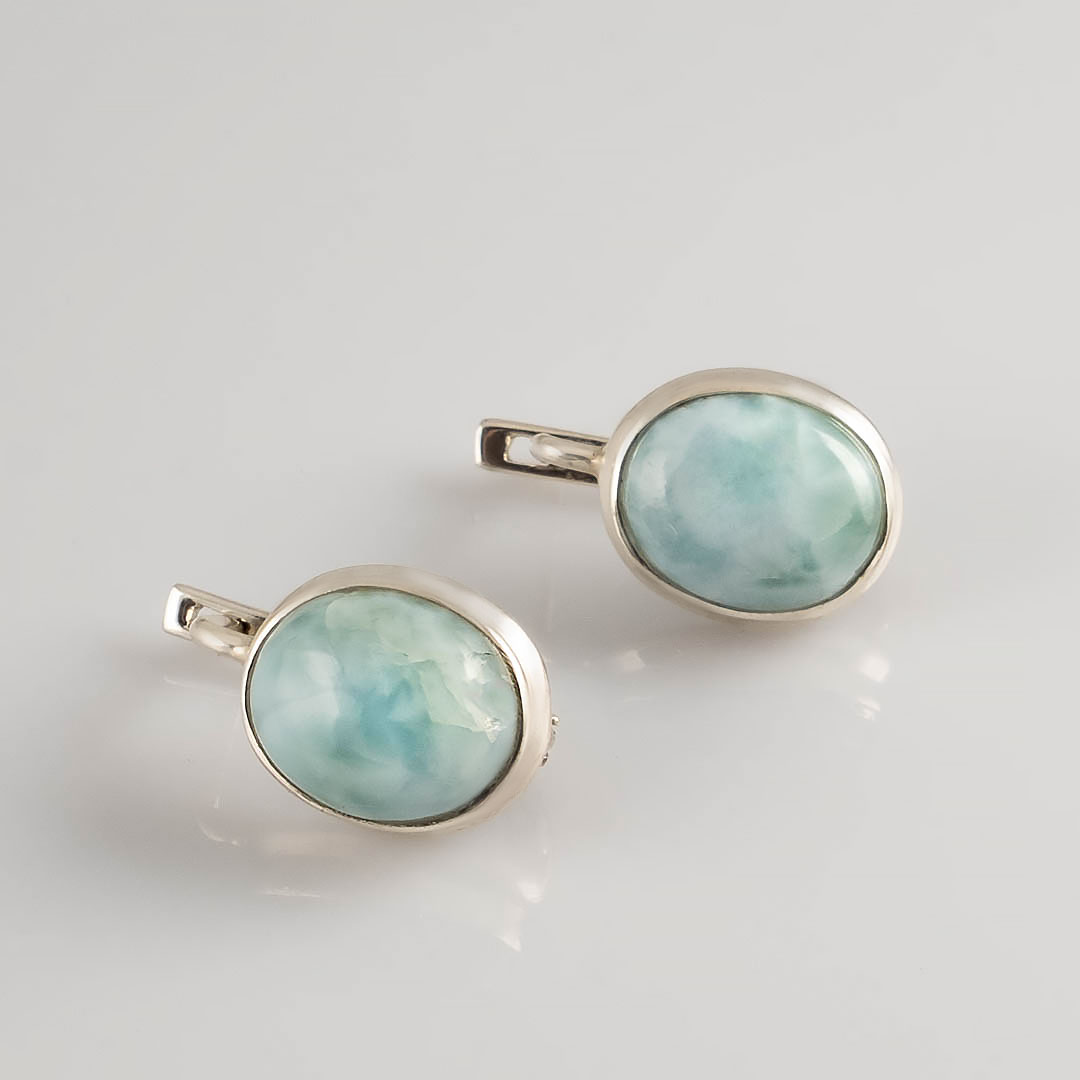 66878 Серьги (Ag 925)