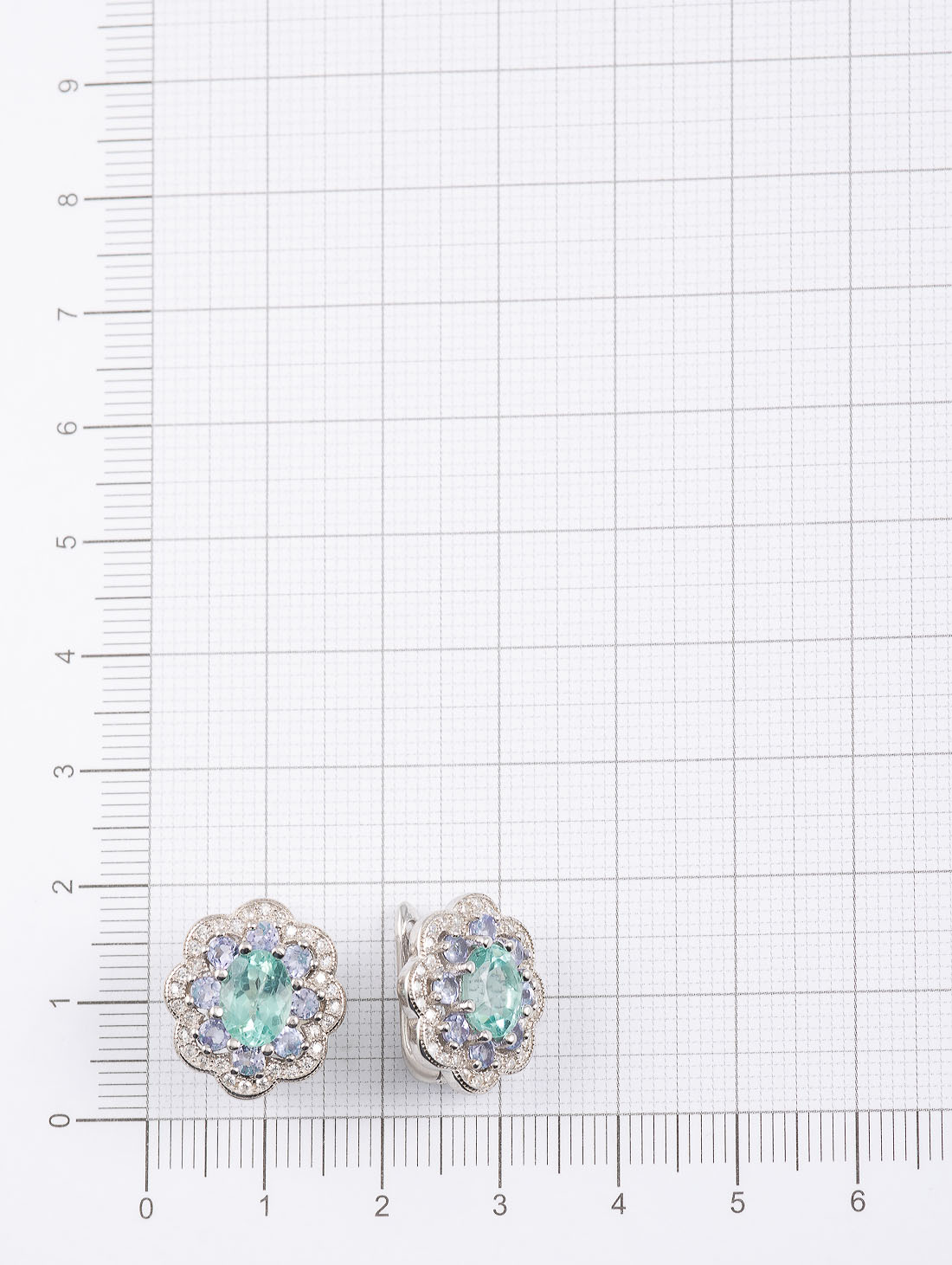 100903 Серьги (Ag 925)