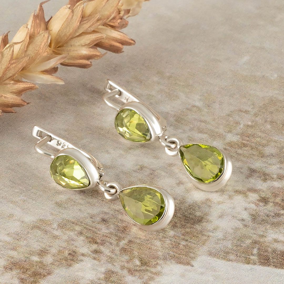 66919 Серьги (Ag 925)