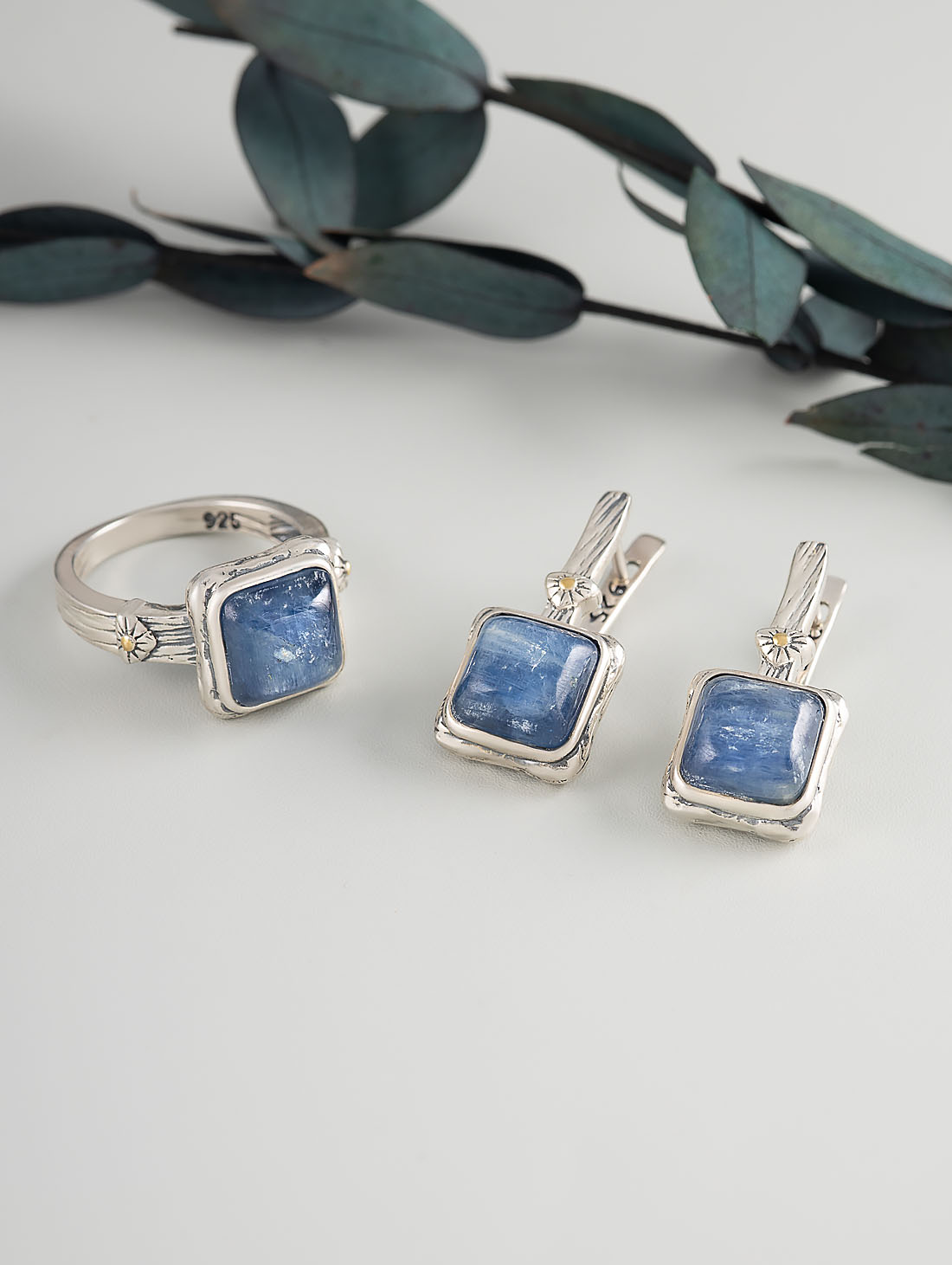 Err1260z Кианит Серьги (Ag 925)