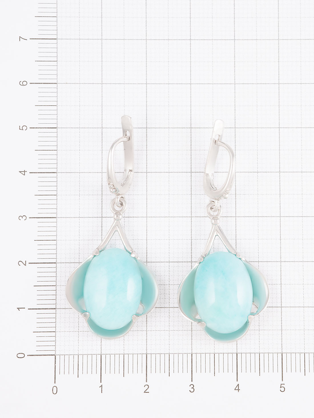 060218 Серьги (Ag 925)