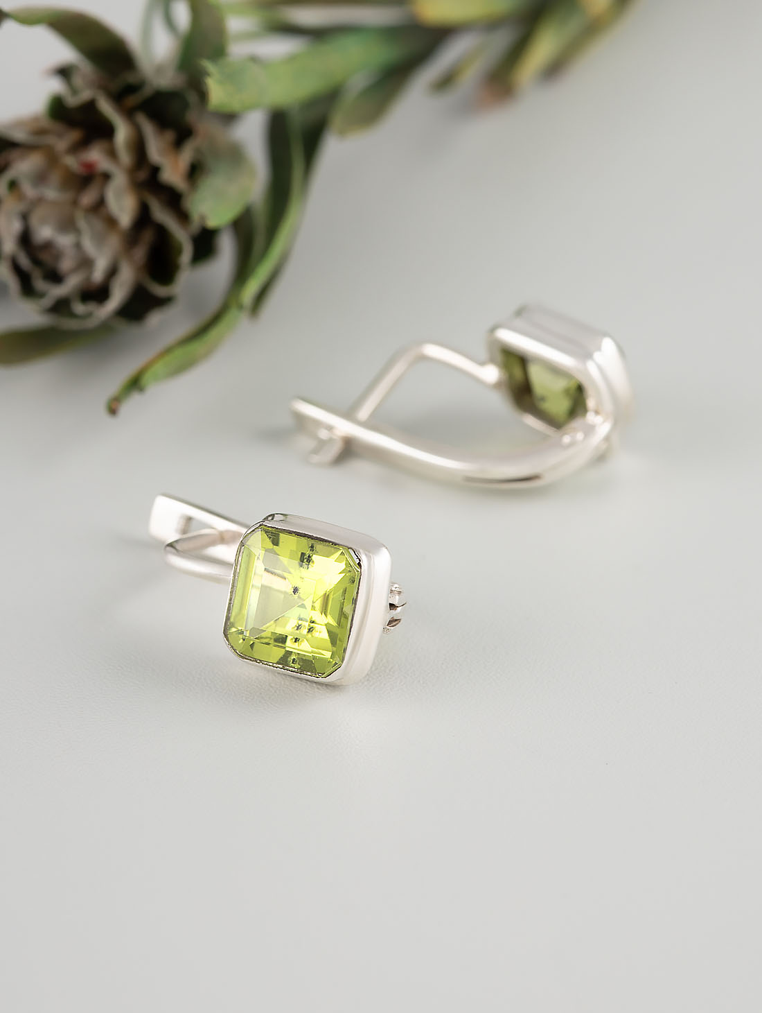 88249 Серьги (Ag 925)