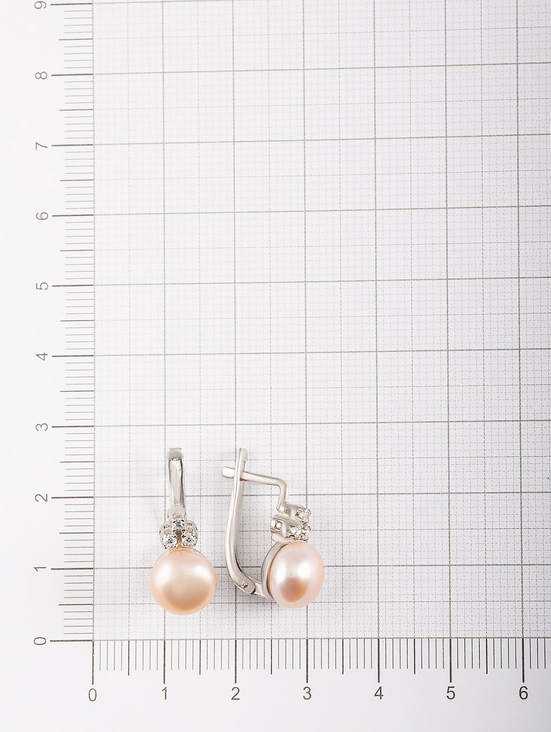 100873 Серьги (Ag 925)