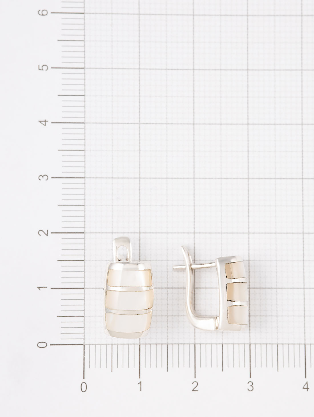 100933 Серьги (Ag 925)