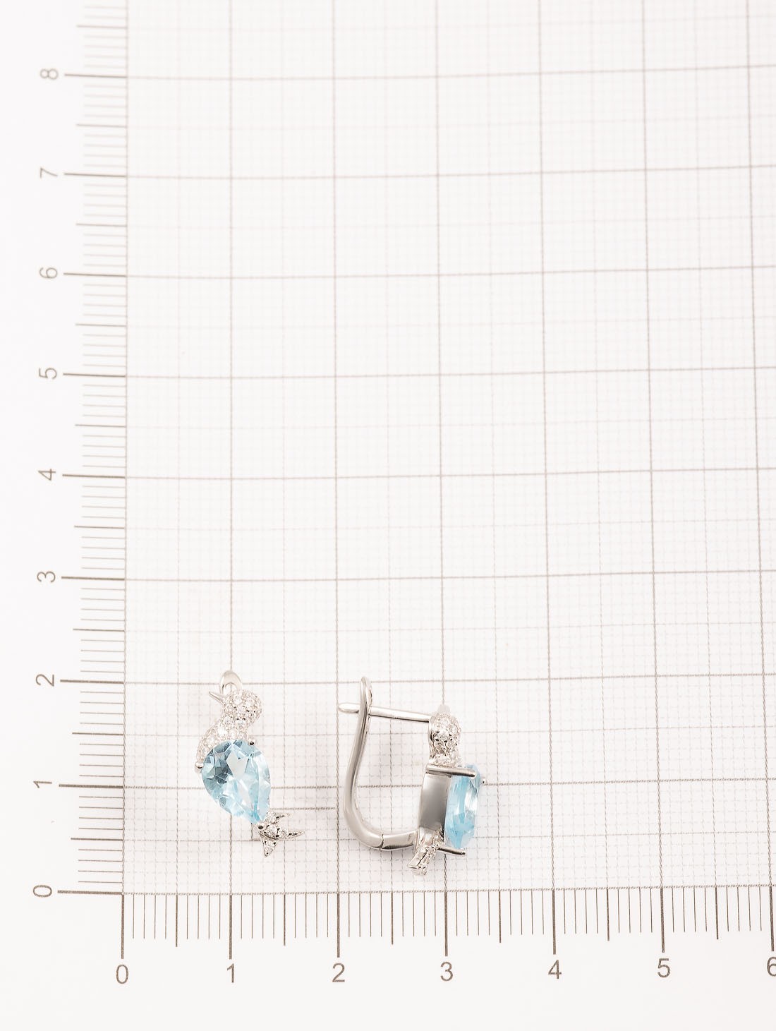 99538 Серьги (Ag 925)