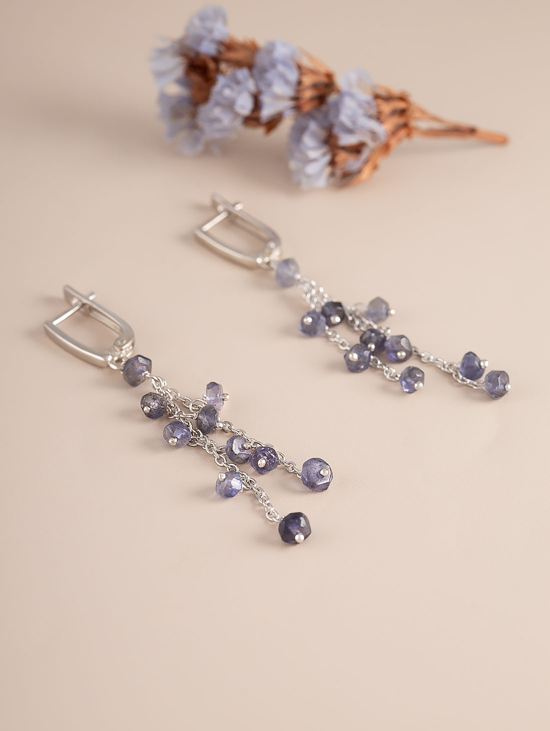 100833 Серьги (Ag 925)