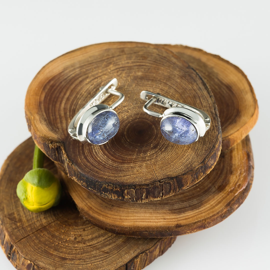 66074 Серьги (Ag 925)