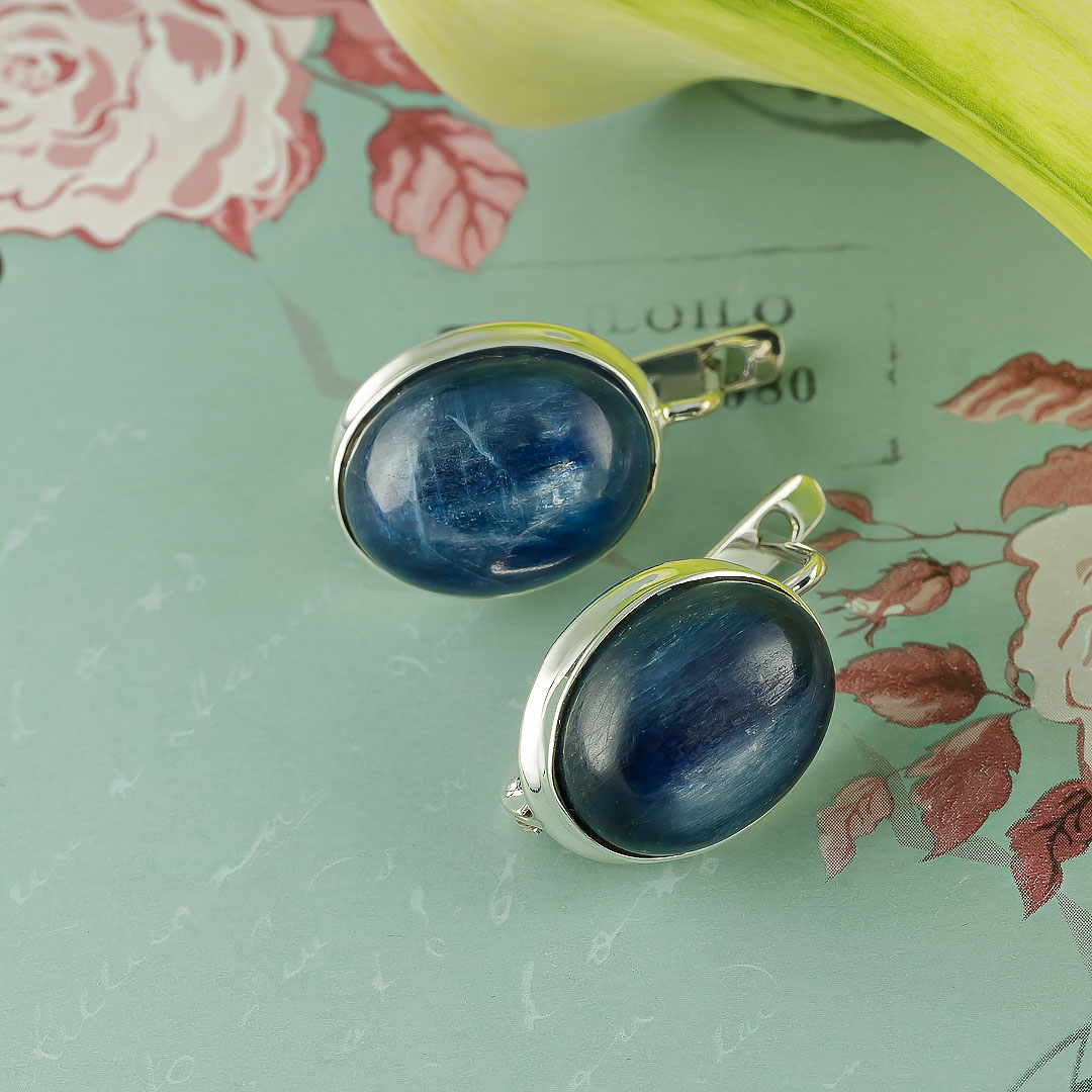 66065 Серьги (Ag 925)