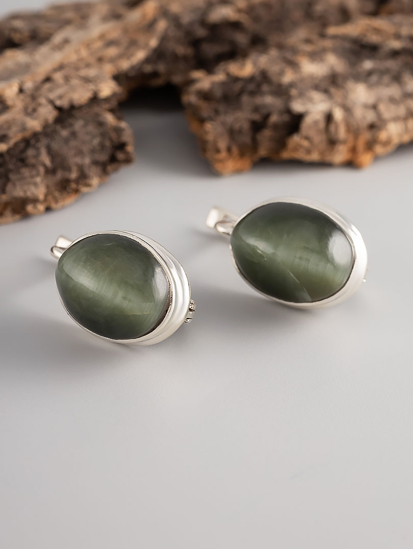 97253 Серьги (Ag 925)