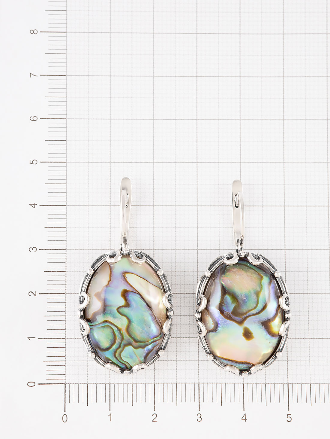 060293 Серьги (Ag 925)