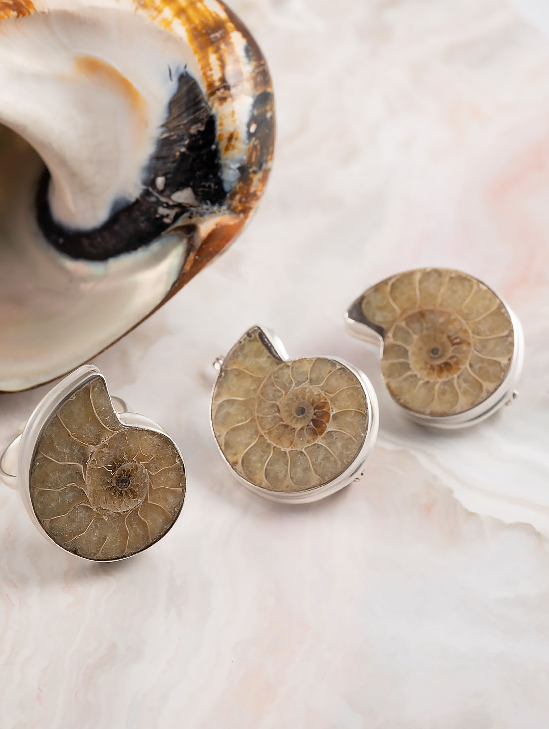 88510 Серьги (Ag 925)