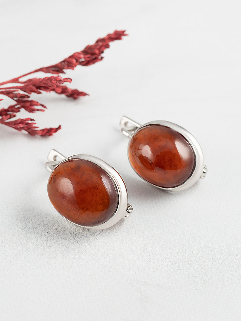 68268 Серьги (Ag 925)