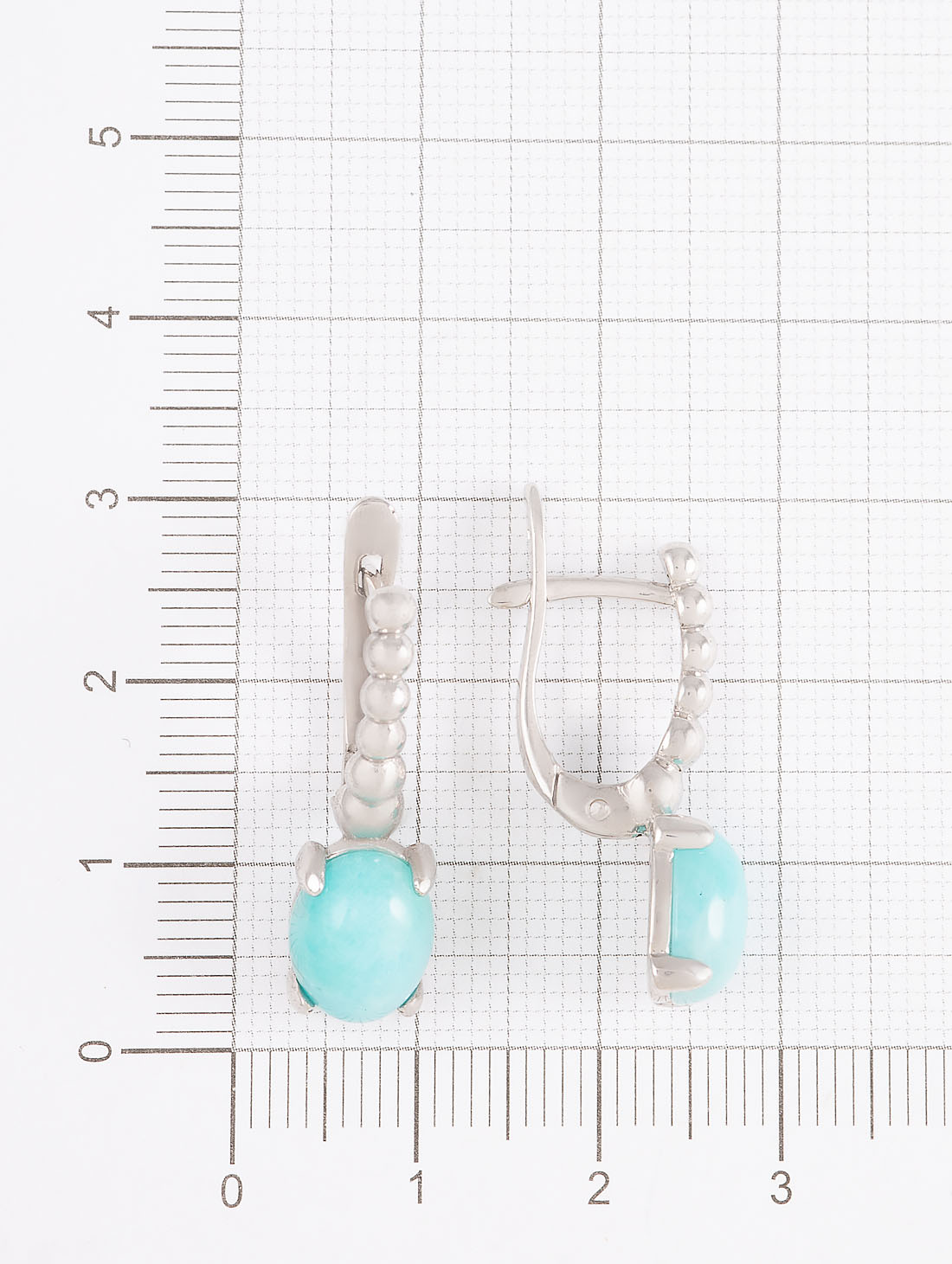 060227 Серьги (Ag 925)