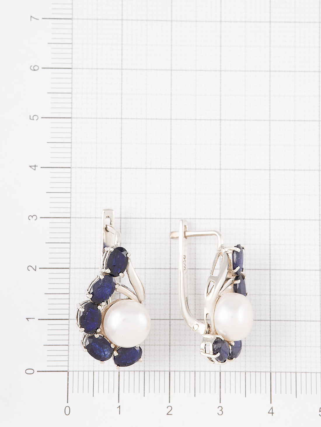 100865 Серьги (Ag 925)