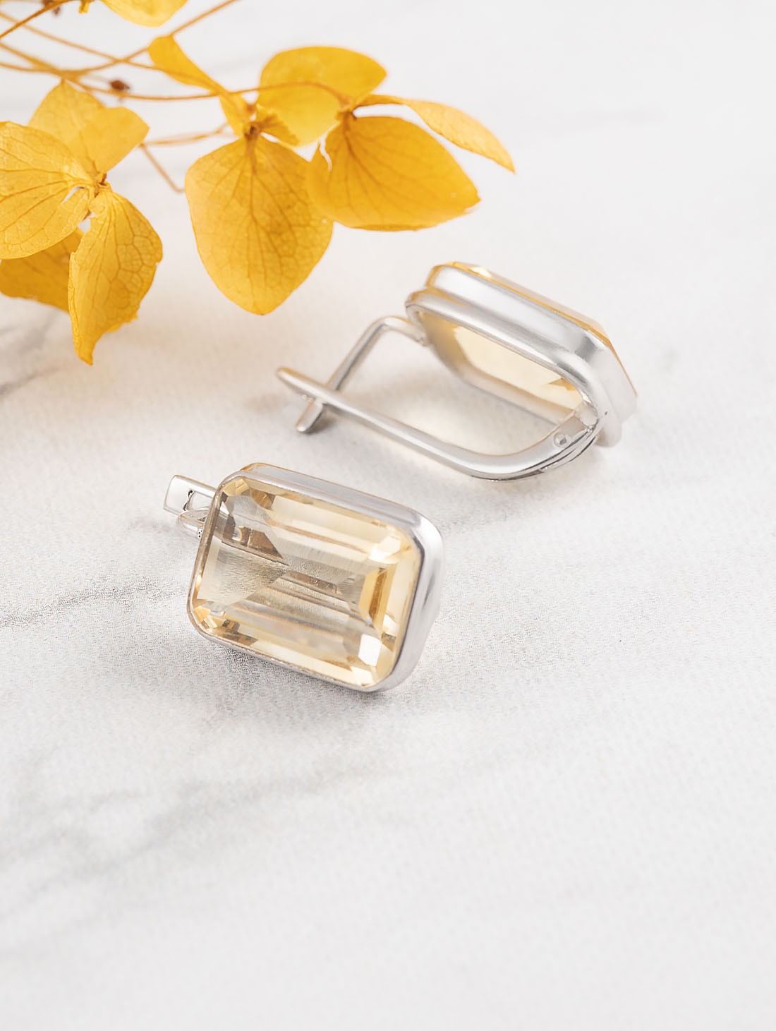 88306 Серьги (Ag 925)