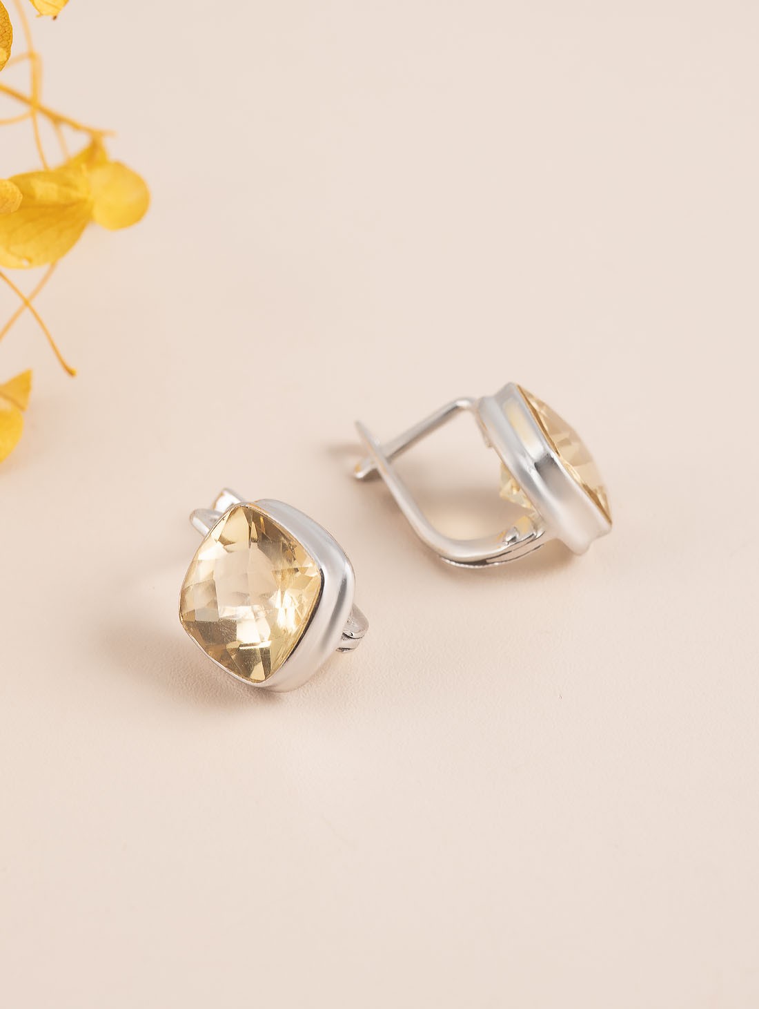 88719 Серьги (Ag 925)