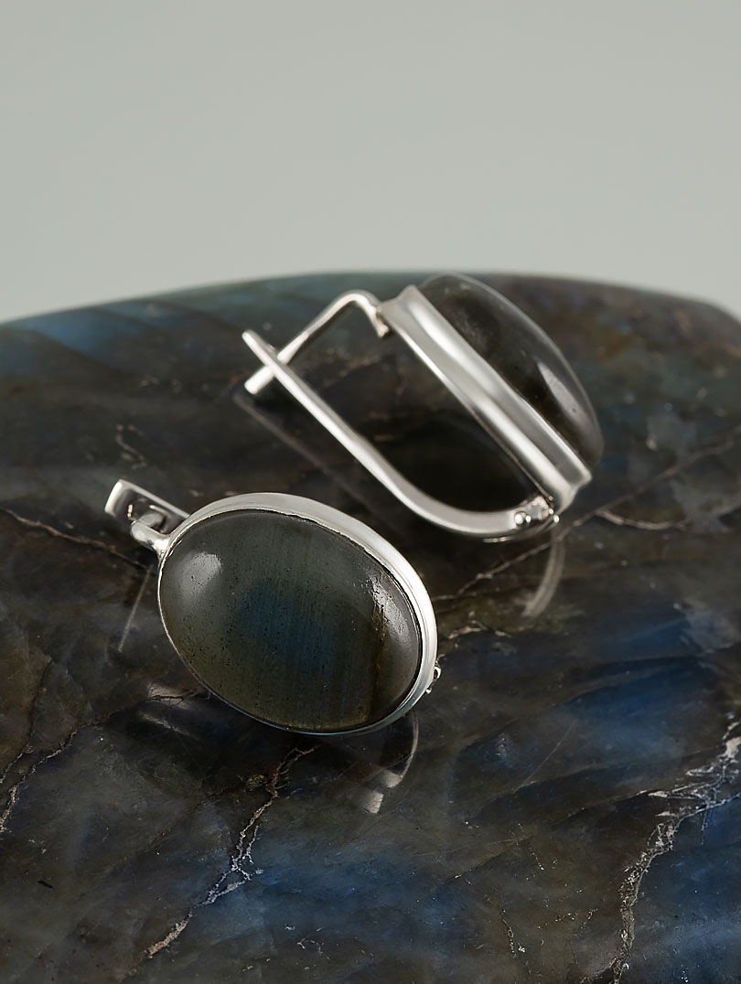 66892 Серьги (Ag 925)