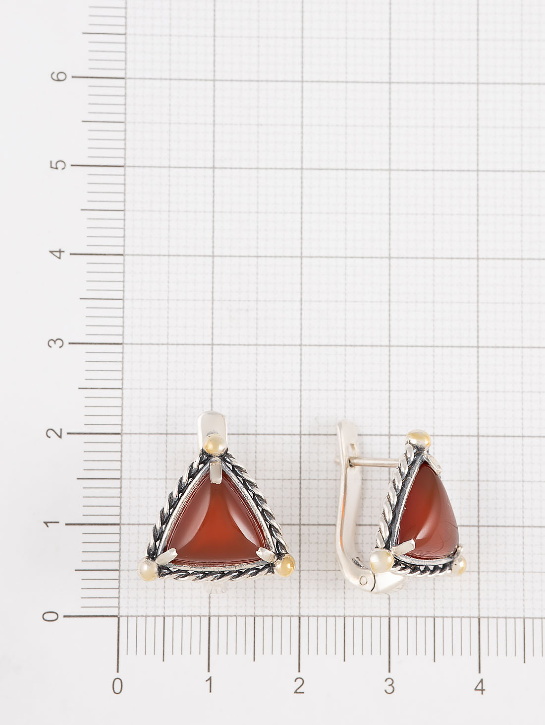 Err1482z Сердолик Серьги (Ag 925)