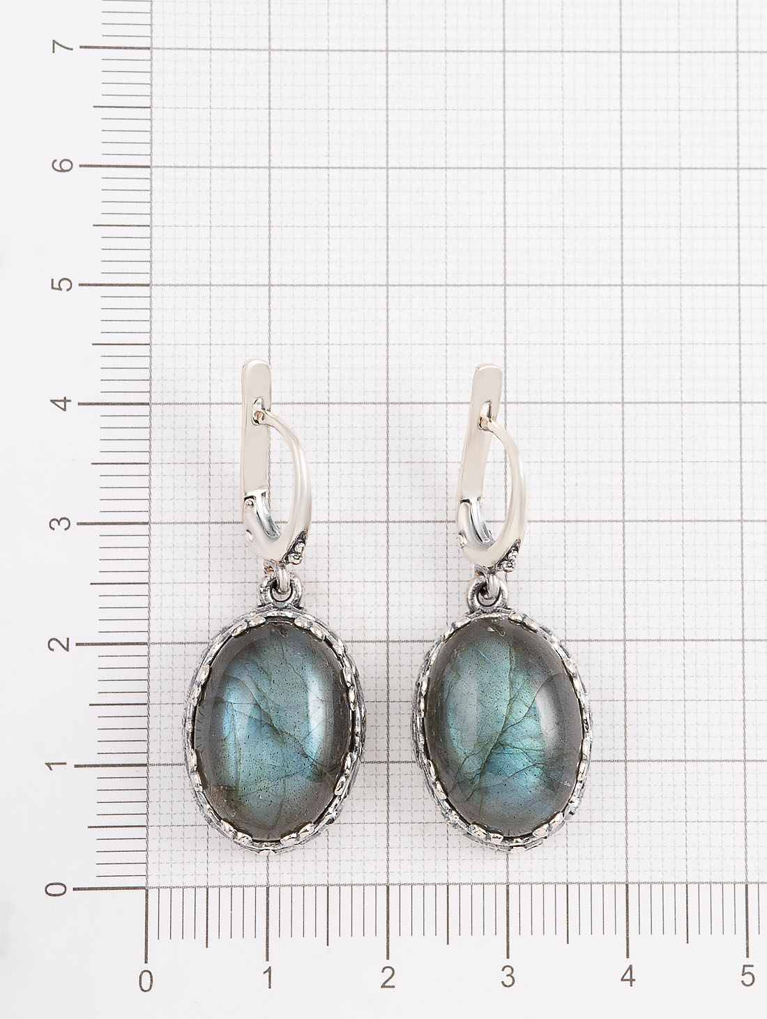 060065 Серьги (Ag 925)