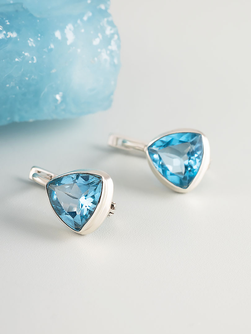 66521 Серьги (Ag 925)