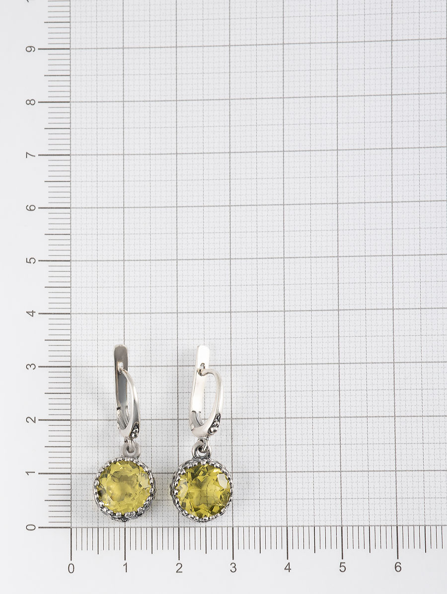 051339 Серьги (Ag 925)