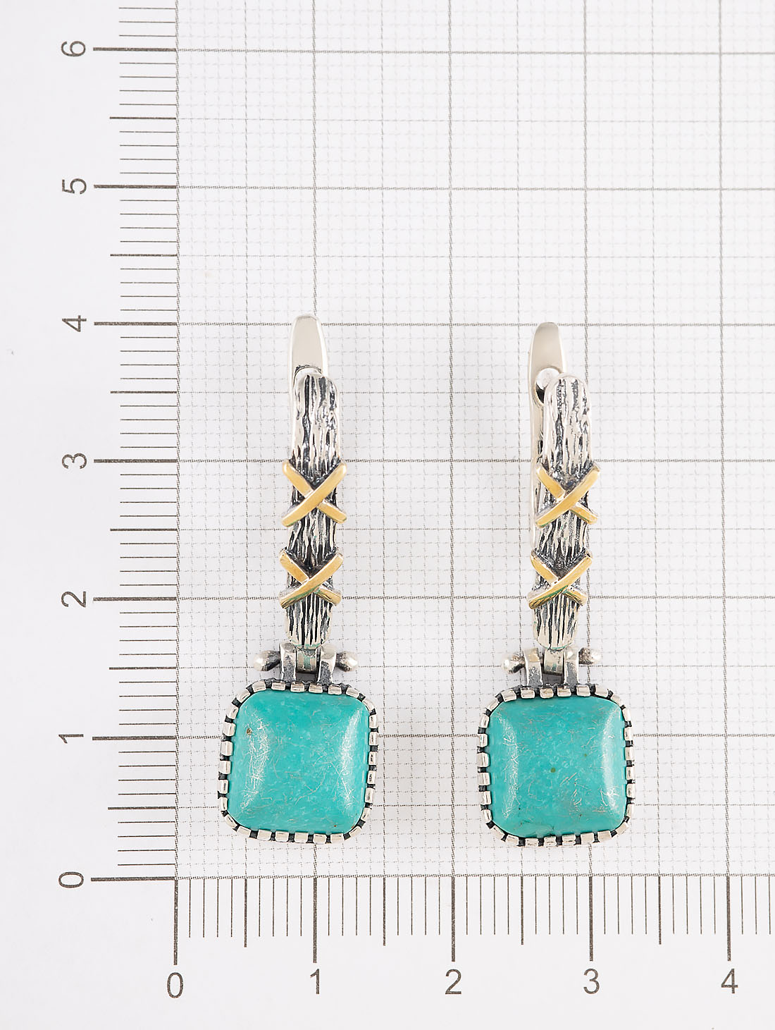 Err1506z Бирюза Серьги (Ag 925)