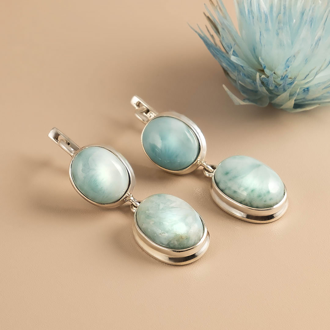 66882 Серьги (Ag 925)