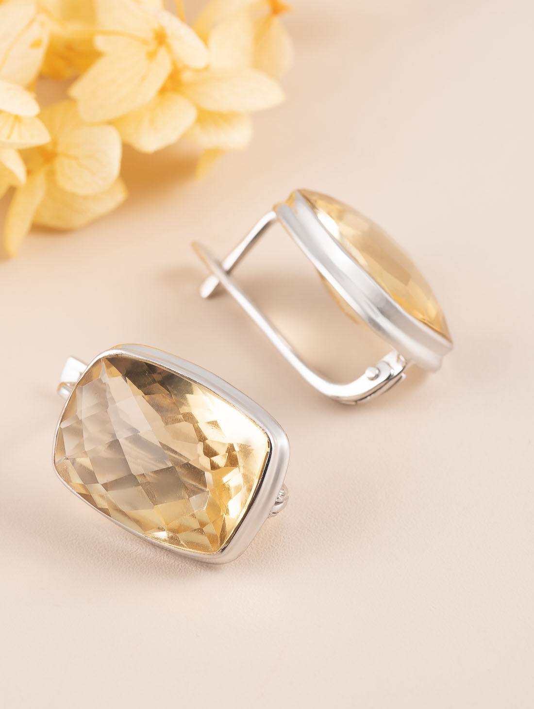 88696 Серьги (Ag 925)