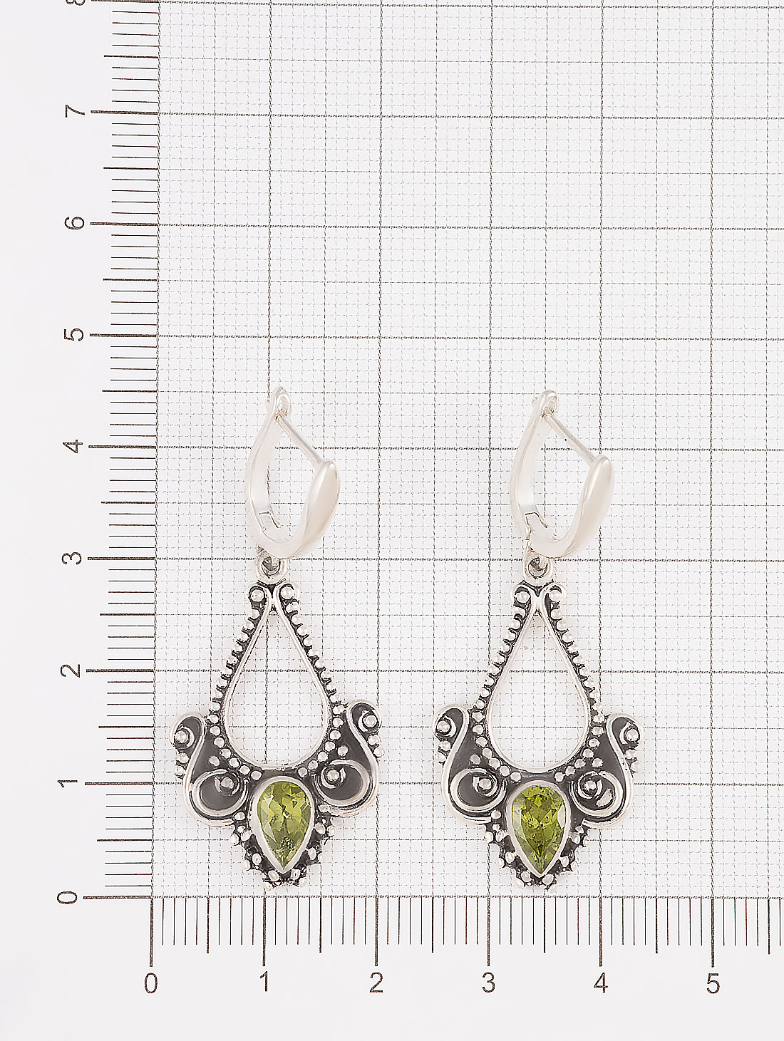 22021 Серьги (Ag 925)