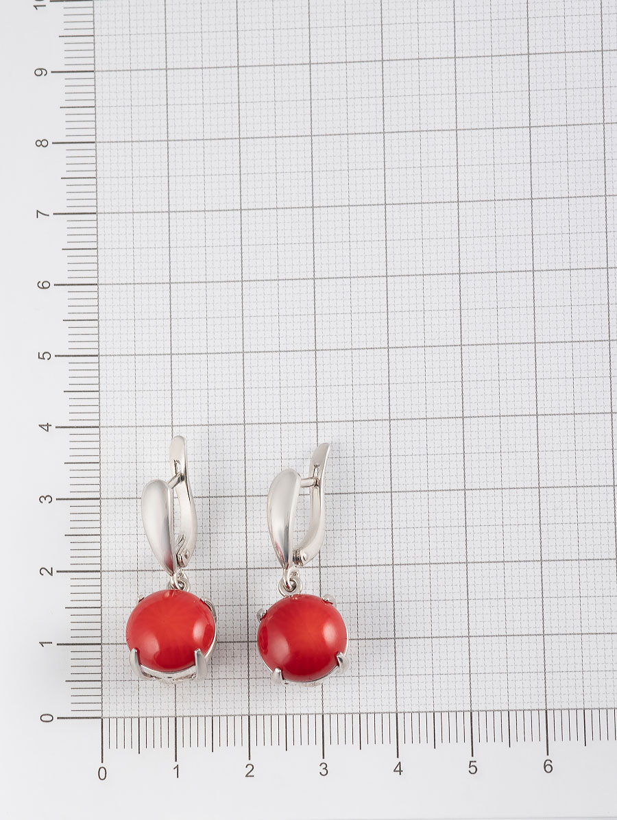 051330 Серьги (Ag 925)