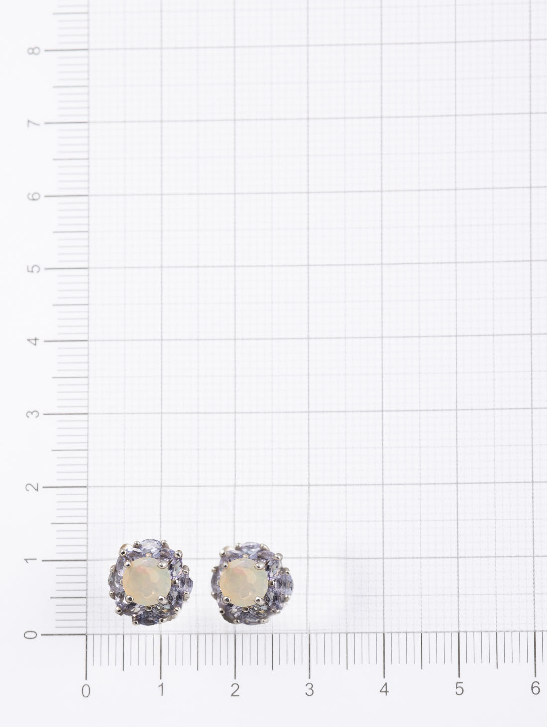 100901 Серьги (Ag 925)