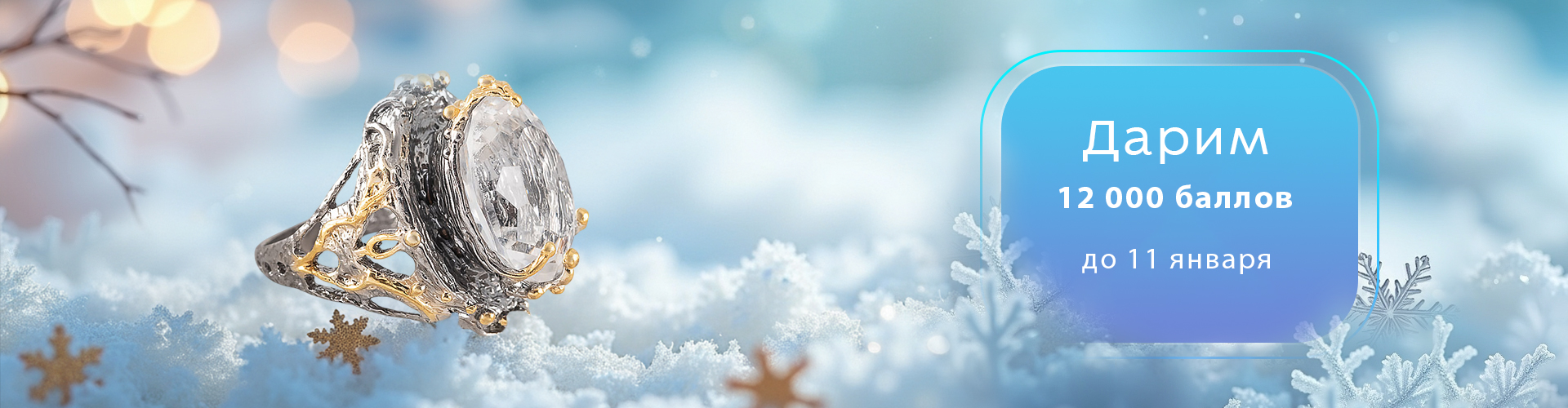 Новогодний подарок - дарим 12 000 баллов!