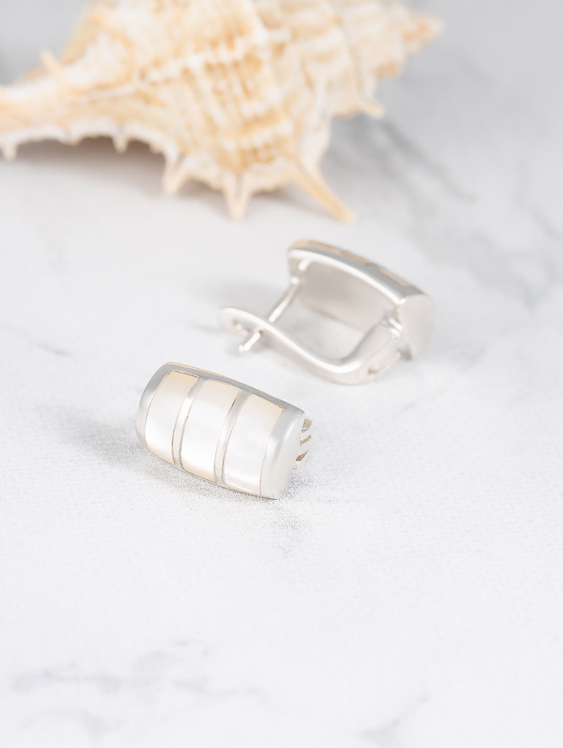 100933 Серьги (Ag 925)